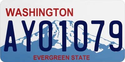 WA license plate AYO1079
