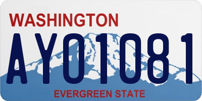 WA license plate AYO1081