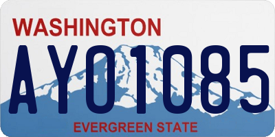 WA license plate AYO1085