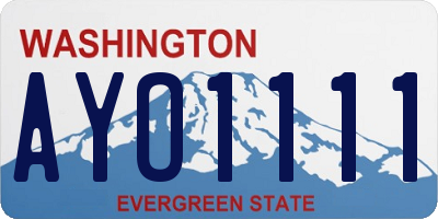 WA license plate AYO1111