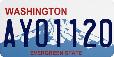 WA license plate AYO1120