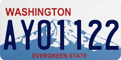 WA license plate AYO1122