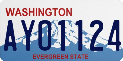 WA license plate AYO1124