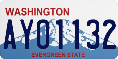 WA license plate AYO1132