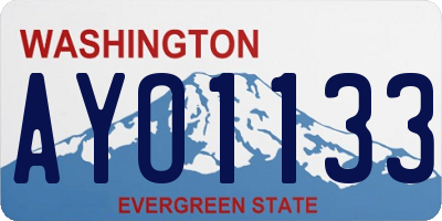 WA license plate AYO1133