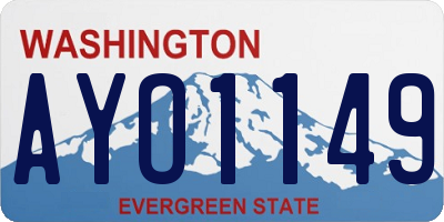 WA license plate AYO1149