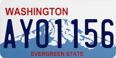WA license plate AYO1156
