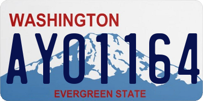 WA license plate AYO1164
