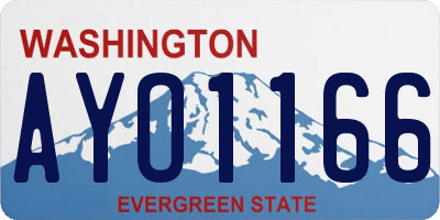 WA license plate AYO1166