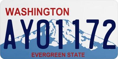 WA license plate AYO1172
