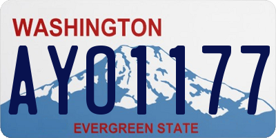 WA license plate AYO1177