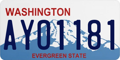 WA license plate AYO1181