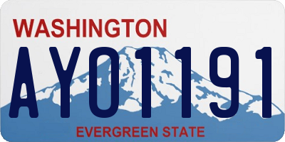 WA license plate AYO1191