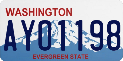 WA license plate AYO1198
