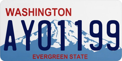 WA license plate AYO1199