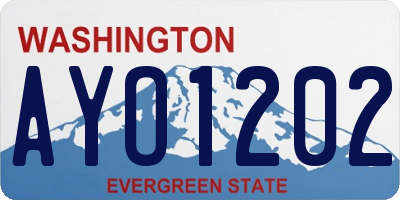 WA license plate AYO1202