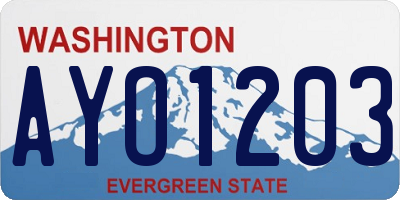 WA license plate AYO1203