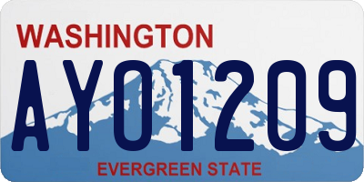 WA license plate AYO1209