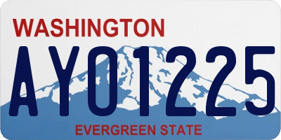WA license plate AYO1225