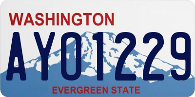 WA license plate AYO1229