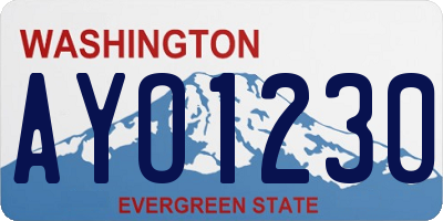 WA license plate AYO1230