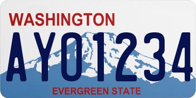 WA license plate AYO1234