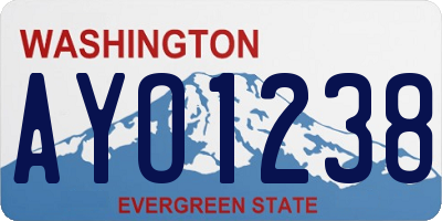 WA license plate AYO1238