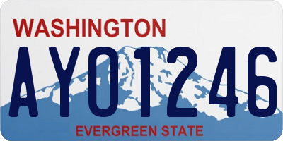 WA license plate AYO1246