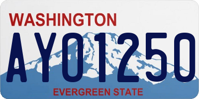 WA license plate AYO1250