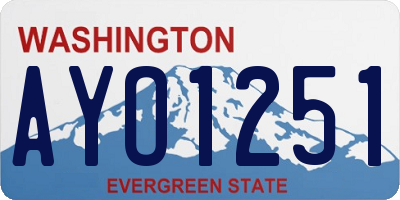 WA license plate AYO1251