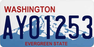 WA license plate AYO1253
