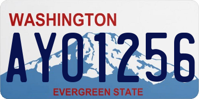 WA license plate AYO1256