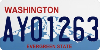 WA license plate AYO1263