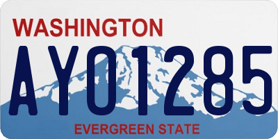 WA license plate AYO1285