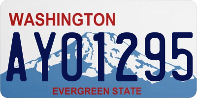 WA license plate AYO1295