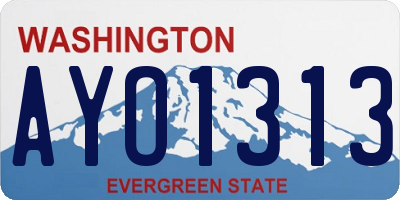 WA license plate AYO1313
