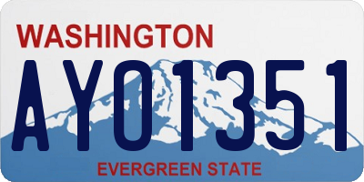 WA license plate AYO1351