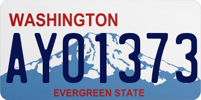 WA license plate AYO1373