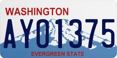WA license plate AYO1375
