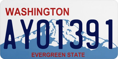 WA license plate AYO1391