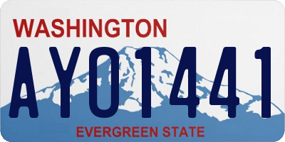 WA license plate AYO1441