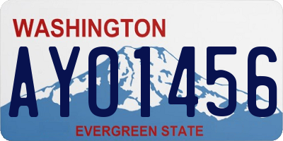 WA license plate AYO1456