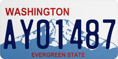 WA license plate AYO1487