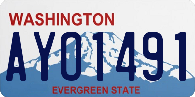 WA license plate AYO1491