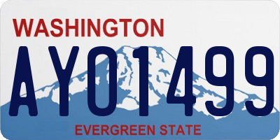WA license plate AYO1499