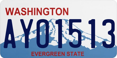 WA license plate AYO1513