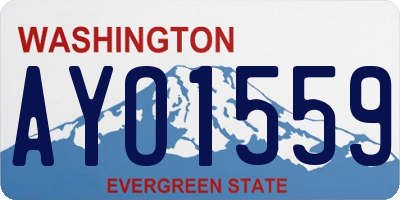WA license plate AYO1559