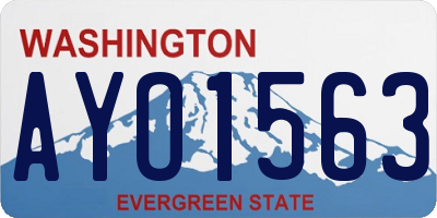 WA license plate AYO1563