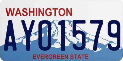 WA license plate AYO1579