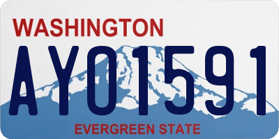 WA license plate AYO1591